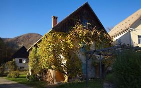 Vintage House Podliparska