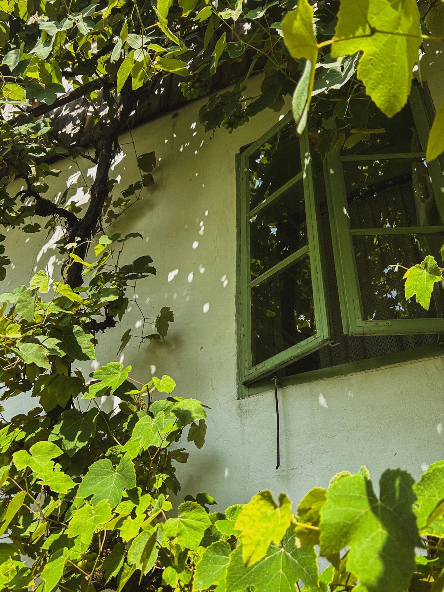 Pensjonat Vintage House Podliparska Fara Zewnętrze zdjęcie