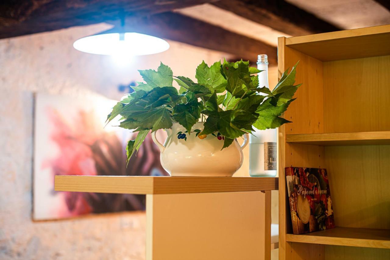 Pensjonat Vintage House Podliparska Fara Zewnętrze zdjęcie